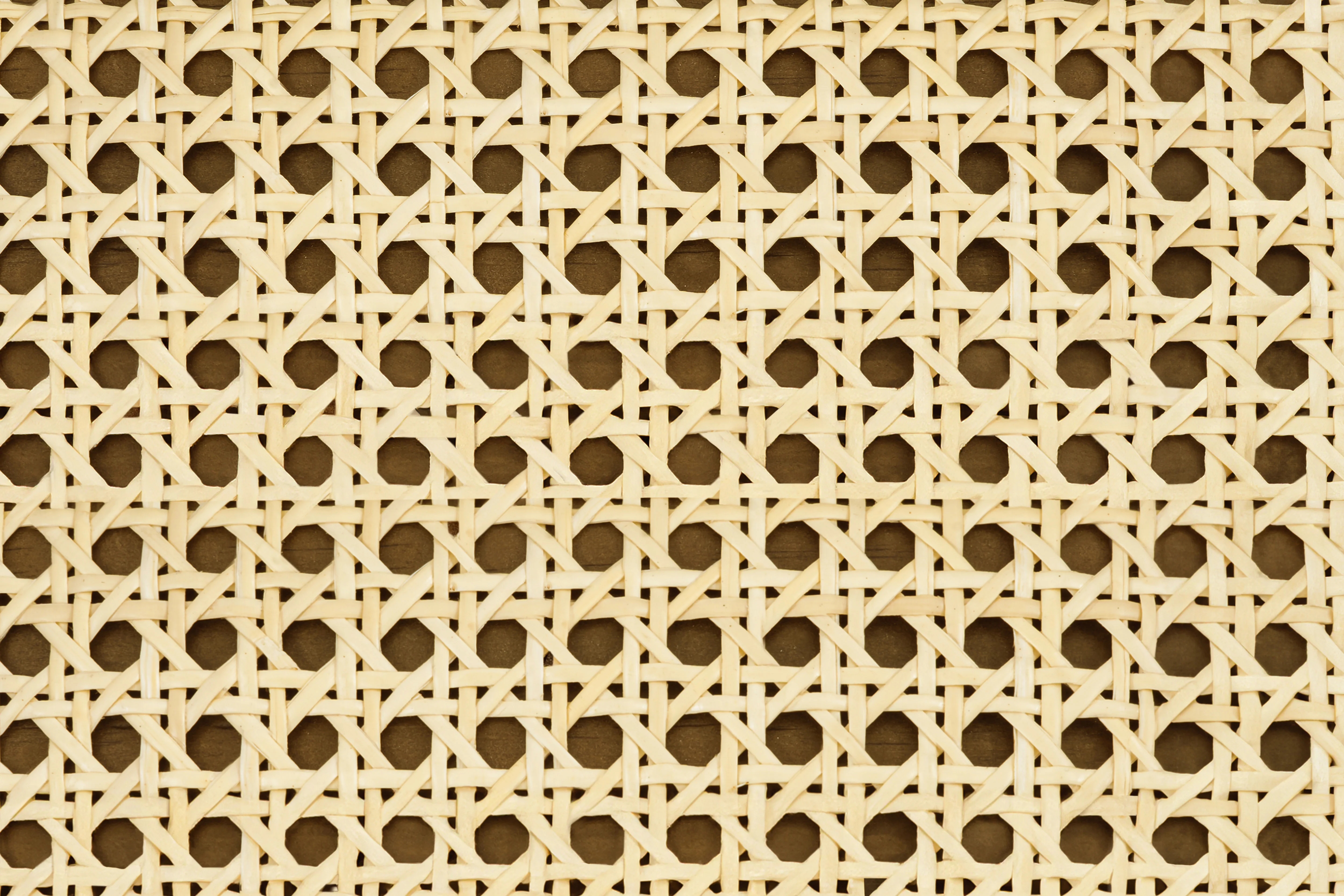 Wood Swatch - Image 4
